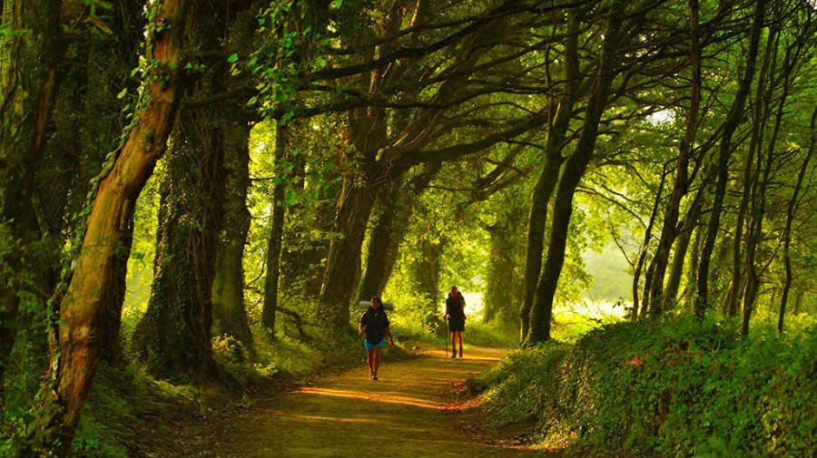 Contrata los paquetes de transfer para el Camino de Santiago