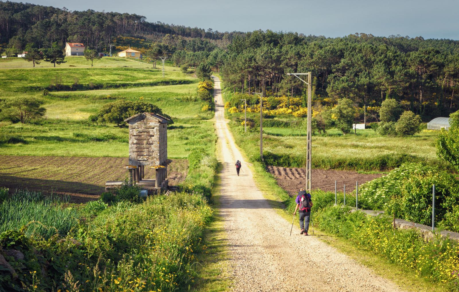 ¡Camino a Finisterre en Grupo: 6 días y 5 noches en  Hostales, Pensiones o Albergues! Incluye Vehículo de apoyo + Traslado de equipaje + Monitor + Credencial y Documentación