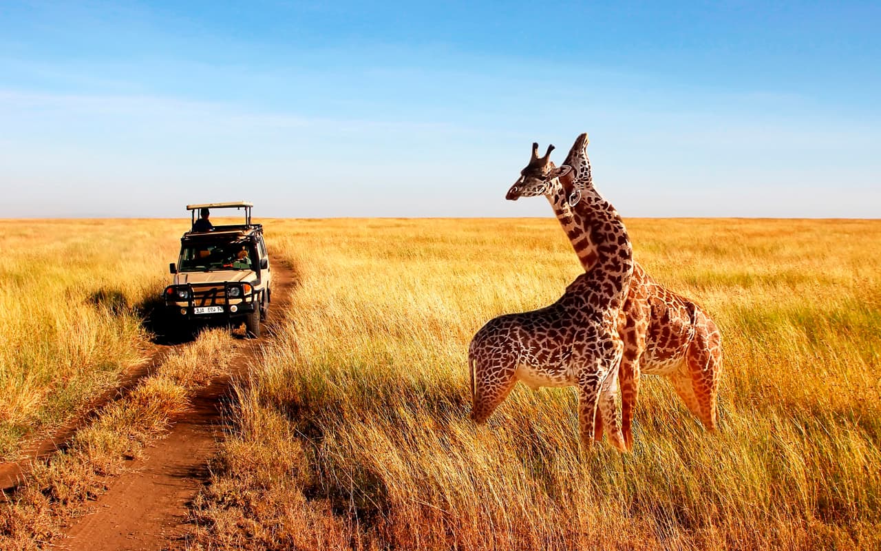 ¡KENIA: SAFARIS + PLAYA! 11 días y 9 noches en Hoteles con Pensión Completa! Incluye Vuelos + Traslados + Visitas y Safari!