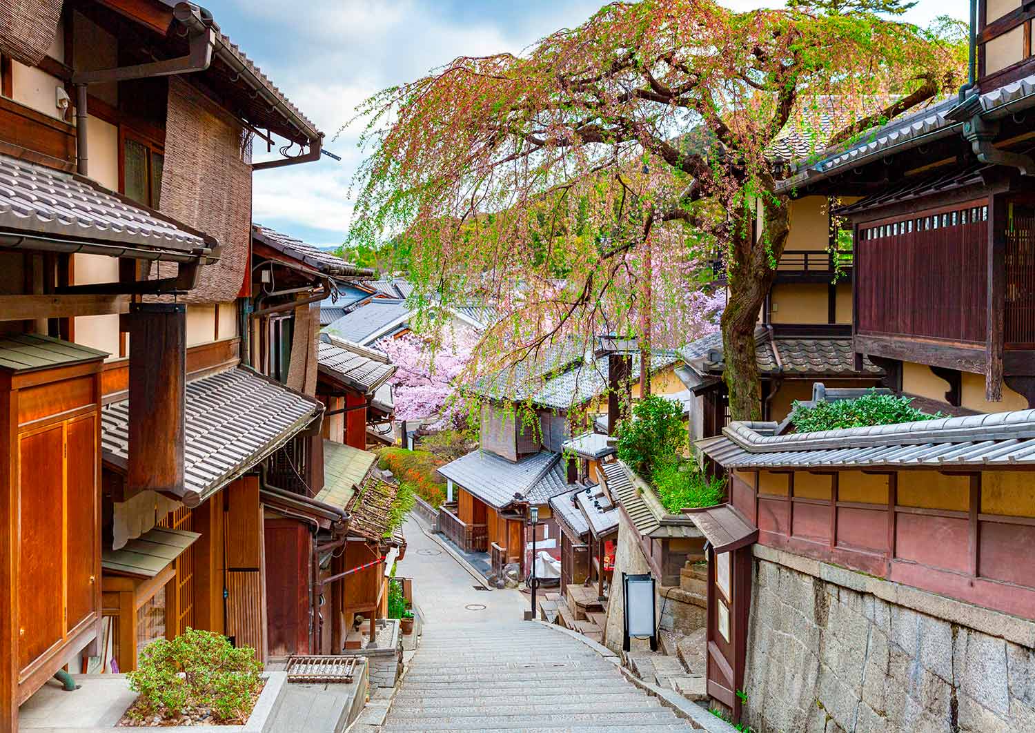 ¡Semana Santa en Japón! 11 días y 9 noches en Tokio, Matsumoto, Kanazawa, Kyoto y Osaka en Hoteles 3* y 4* con desayuno. ¡Incluye Vuelos y Traslados, Visitas Guiadas y Seguro!