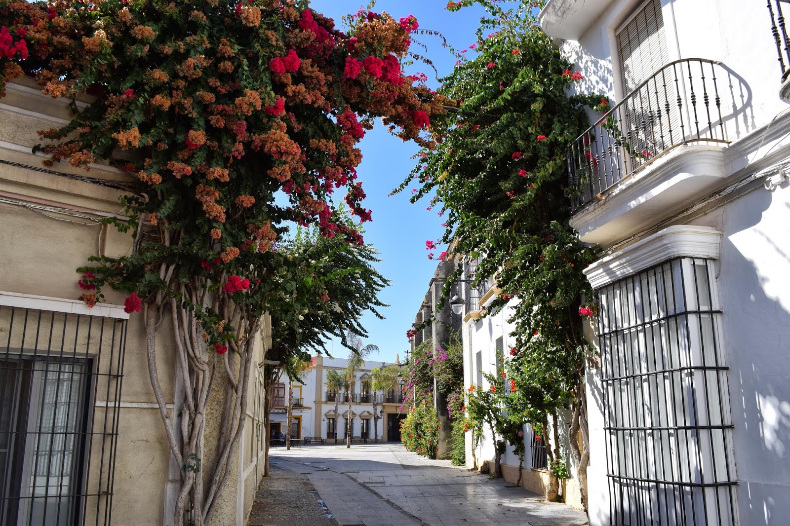 ¡Halloween en Chipiona (Cádiz): 3 días y 2 noches en Hotel 4* con Media Pensión o Pensión Completa + Tematización de Halloween!