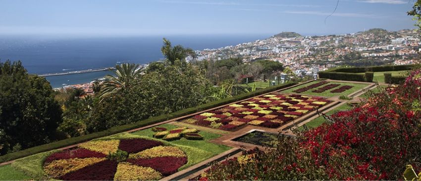 ¡Madeira (Portugal): 8 días y 7 noches en Hotel 4* con Desayuno+ Vuelos!