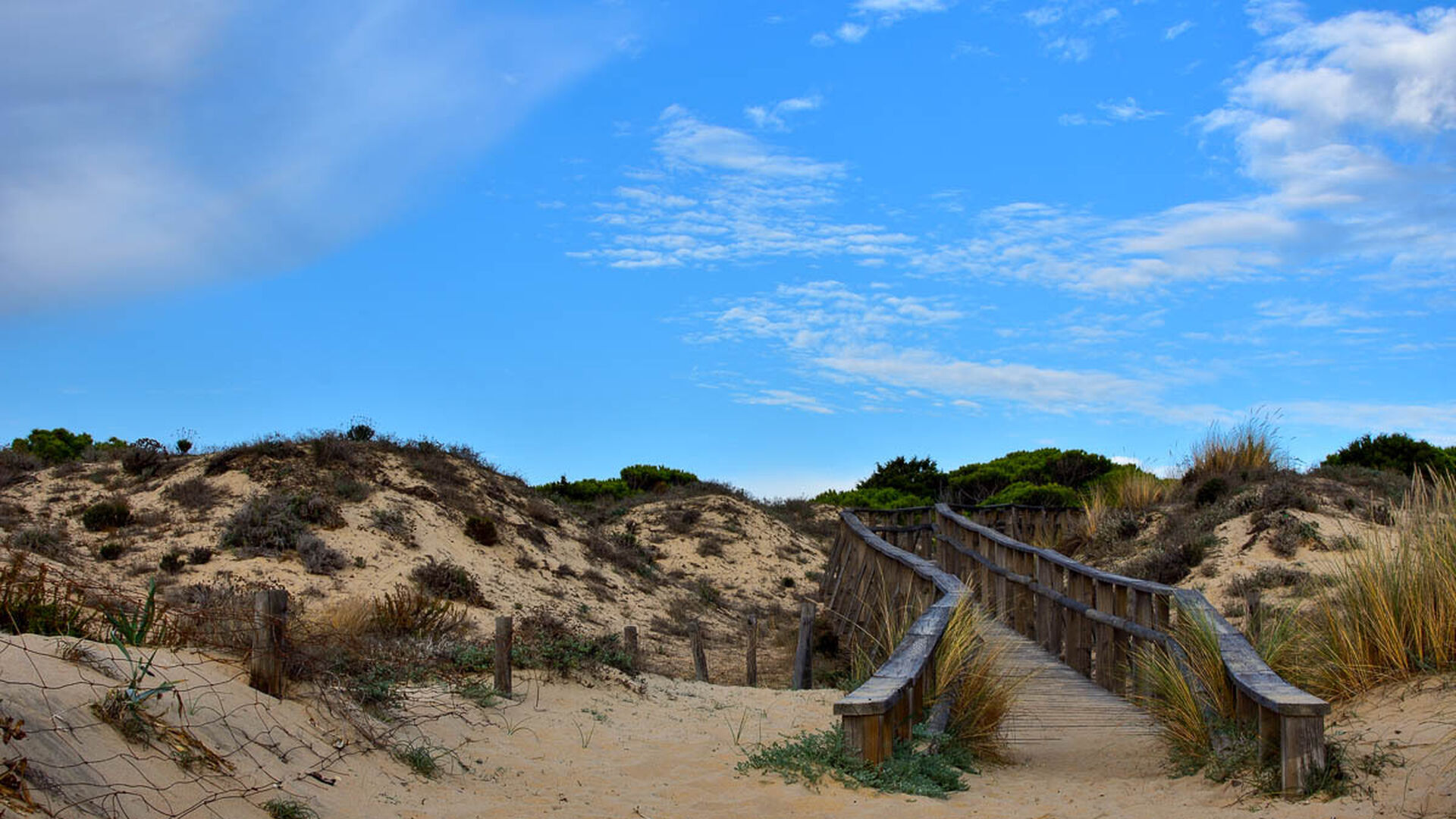 Escápate a Matalascañas (Huelva): 2 días y 1 noche en hotel 4* con Media Pensión y Habitación con Vistas al Mar