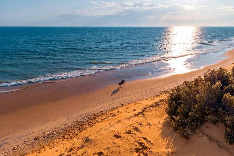 Escápate a Matalascañas (Huelva): 2 días y 1 noche en hotel 4* con Media Pensión y Habitación con Vistas al Mar