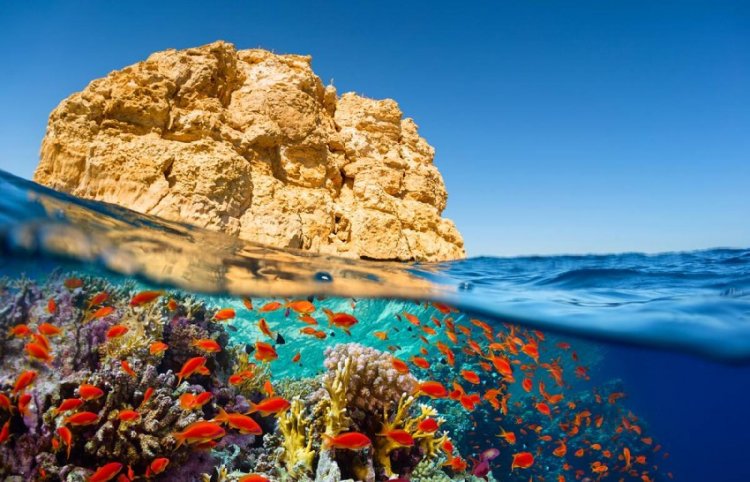 Paraísos del Mar Rojo - Sharm El Sheik: 8 días y 7 noches en Hoteles de 5* con regimen TODO INCLUIDO. ¡Incluye Vuelos + Traslados + City Tour!