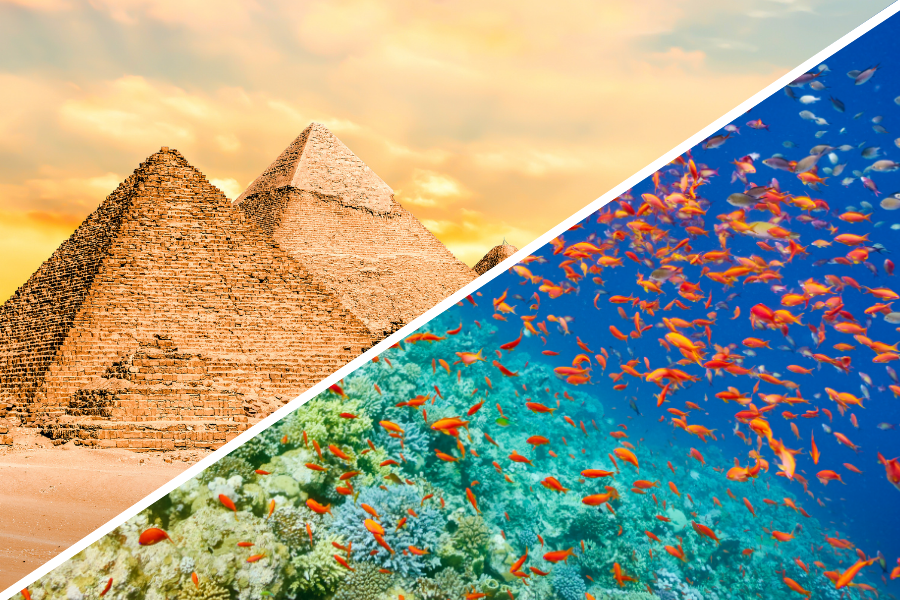 Viaje a Egipto (Nilo, El Cairo y Mar Rojo) 8 días