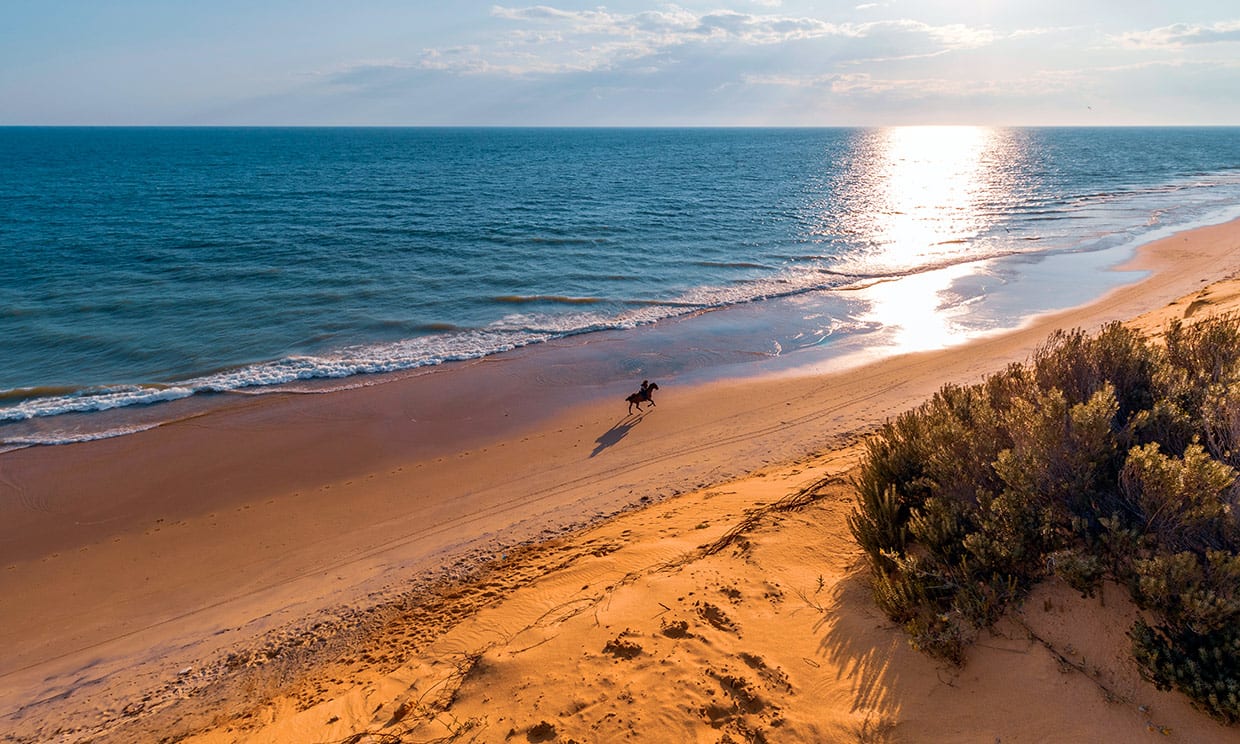 Escápate a Matalascañas (Huelva): 2 días y 1 noche en hotel 4* con Media Pensión y Habitación con Vistas al Mar