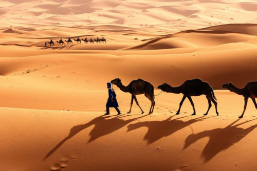 Marruecos: 8 días y 7 noches con Vuelos + Traslados + Media Pensión en Hoteles 3* + Excursiones ¡Incluye Noche en el Desierto!