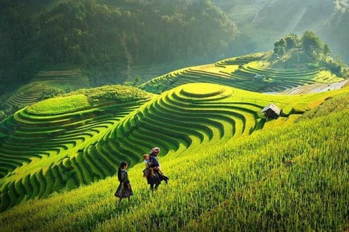 Viaje a Vietnam en 14 días con Sapa