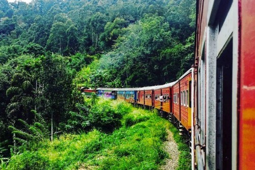 Viaje a Sri Lanka 10 días