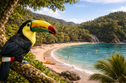 Costa Rica en 11 días con Parque Nacional de Manuel Antonio