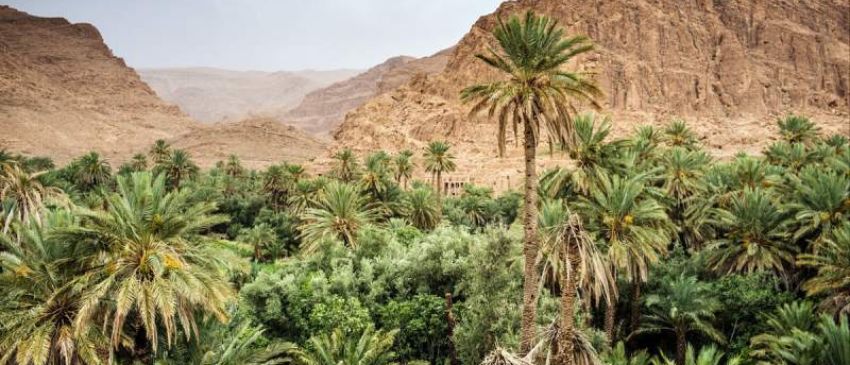 Marruecos: 5 días y 4 noches de Marrakech al desierto de Merzouga, en alojamientos con desayuno y cenas + traslados + excursiones (incluye noche en el desierto y paseo en camello)