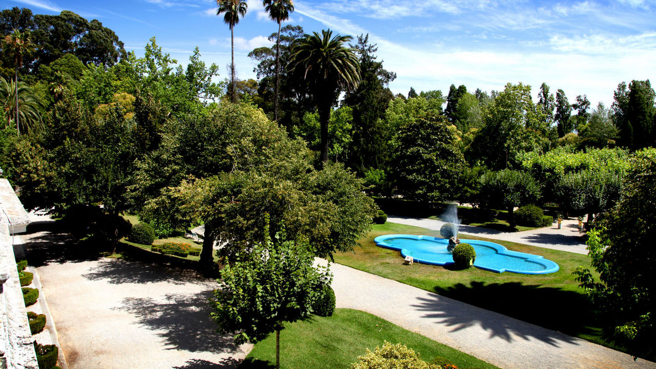 ¡Relájate en Curia (Portugal): 3 días y 2 noches en Hotel 3* con Desayuno + Paseo en Moliceiro!